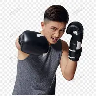 包含拳击附加赛掀起高潮，皖江白虎队逆转东海天狼队，高压逼抢奏功——重拾自信的夜晚的词条